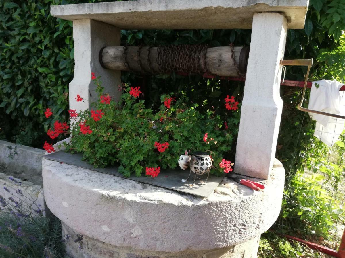 La Maison Du Bonheur Saint-Martin-en-Bresse 외부 사진