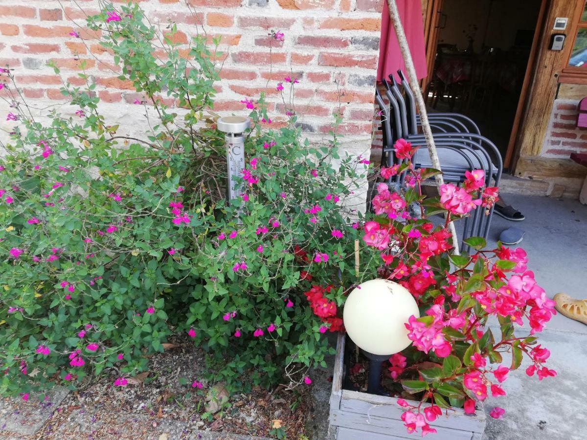 La Maison Du Bonheur Saint-Martin-en-Bresse 외부 사진